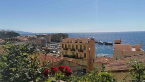 Villa LES SOURCES - MONACO CAP D'AIL & PARKING